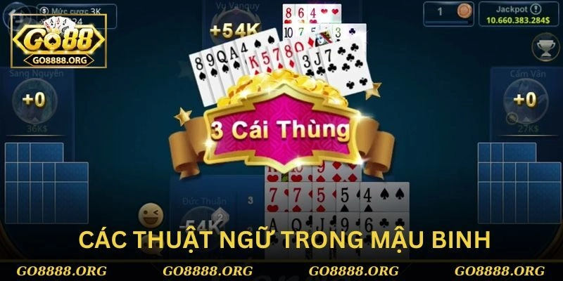 Các thuật ngữ sử dụng trong trò chơi mậu binh